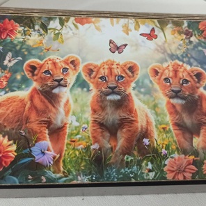 Охота на бабочек 96 шт.